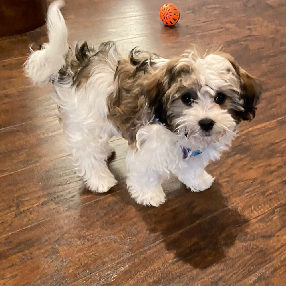 Meet your Posher, Jillian